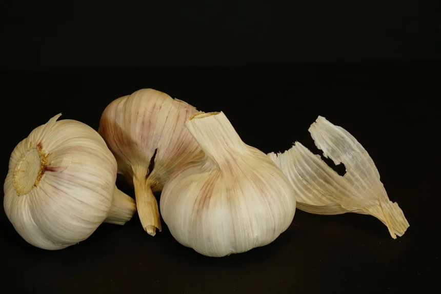 Black garlic